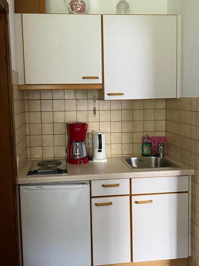 Appartamento Haus Aichmann Schladming Esterno foto